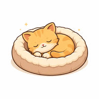 Ultimate Cat Comfort