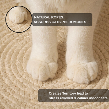 Instinct Cat Bed