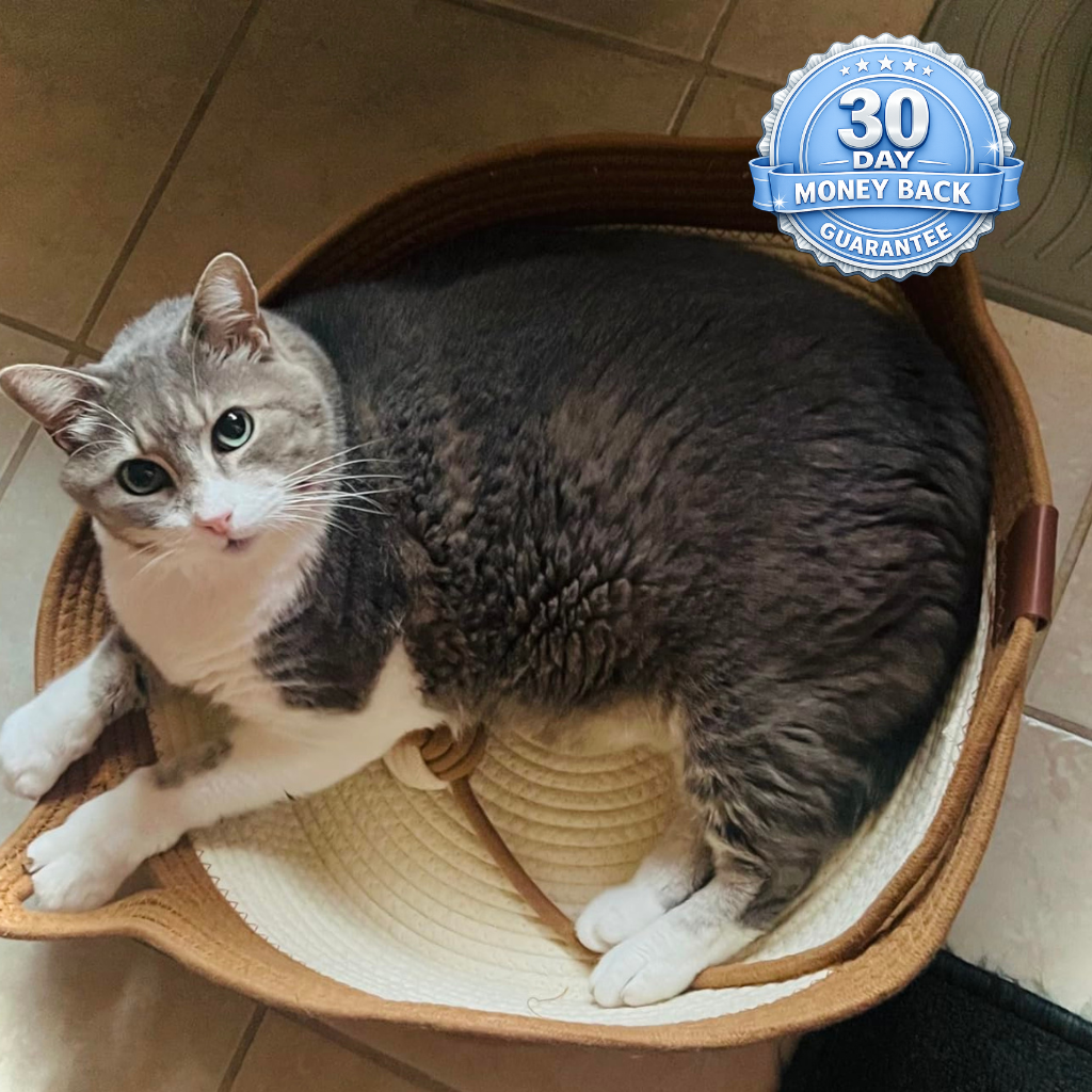 Instinct Cat Bed