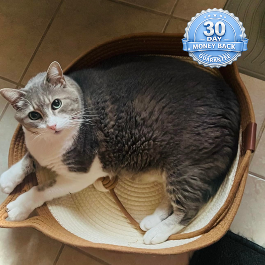 Instinct Cat Bed