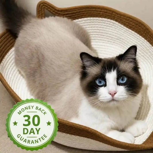 INSTINCT CAT BED | First Research Backed Invention For Cat's - Llumzon