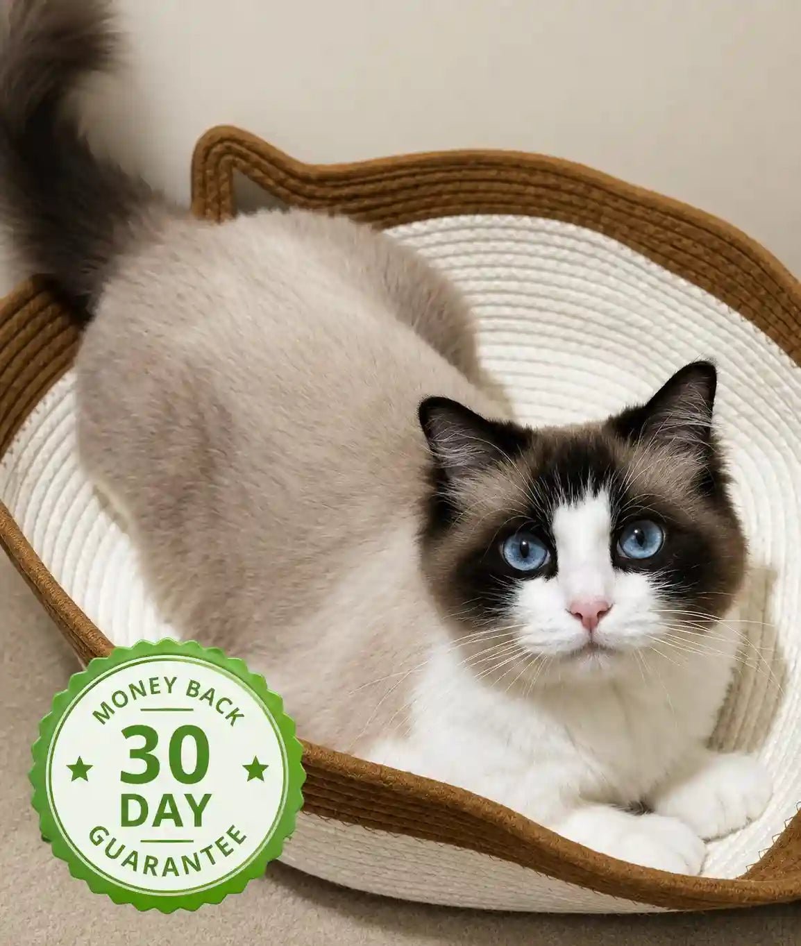 INSTINCT CAT BED | First Research Backed Invention For Cat's - Llumzon