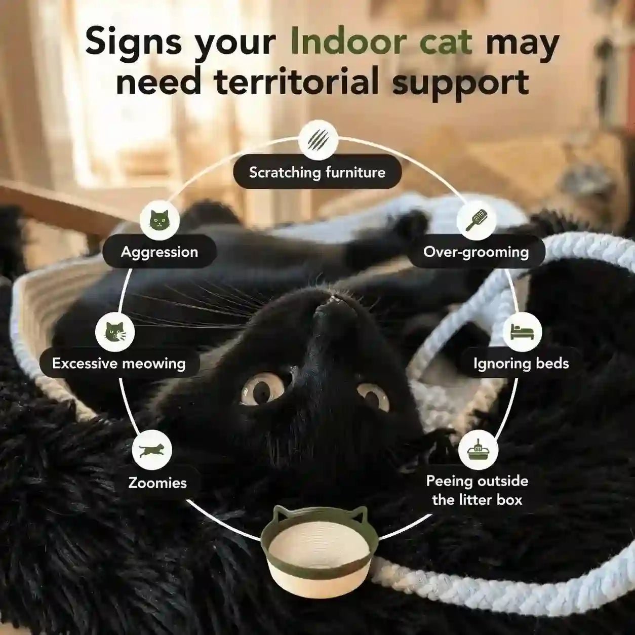 INSTINCT CAT BED | First Research Backed Invention For Cat's - Llumzon