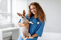 Vet Approved